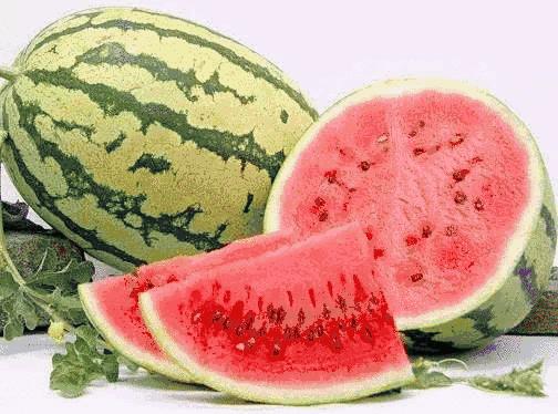 宁夏，多元文化融合的璀璨之地