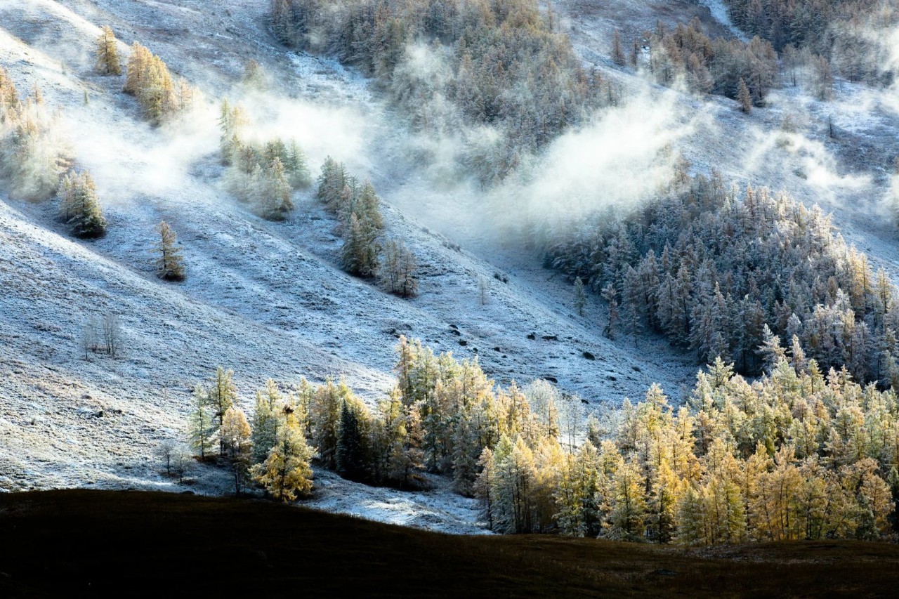 新疆风情，漫步小巷，发现新疆独特小店宝藏